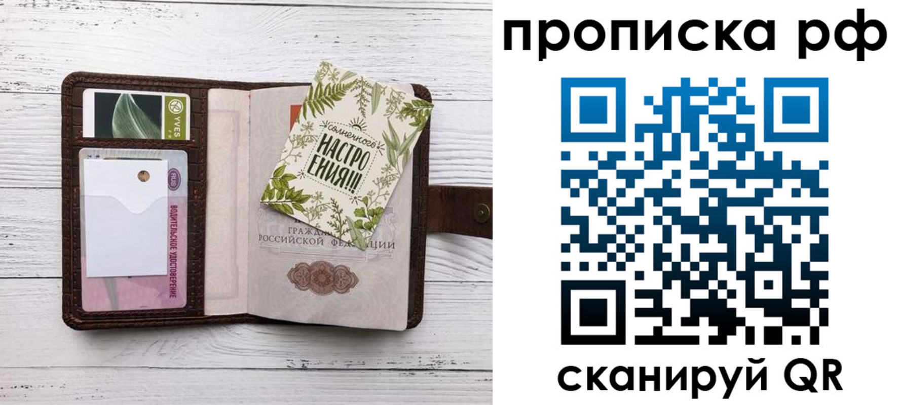 прописка в Сольцах