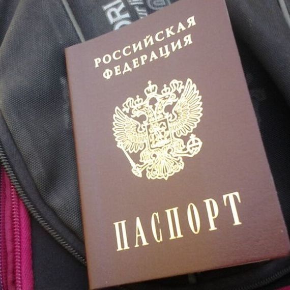 прописка в Сольцах
